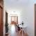 Apartmani Petkovic&#34;Green Oasis&#34;, logement privé à Budva, Monténégro